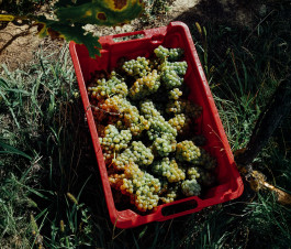 hfa-studio-markenstrategie-branddesign