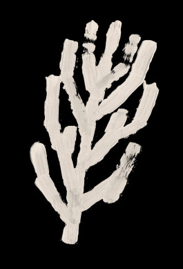 hfa-studio-markenstrategie-branddesign