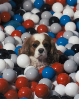 hfa-studio-markenstrategie-branddesign