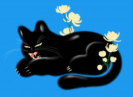 hfa-studio-markenstrategie-branddesign