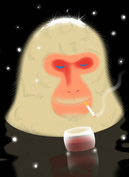 hfa-studio-markenstrategie-branddesign