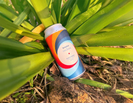 hfa-studio-markenstrategie-branddesign